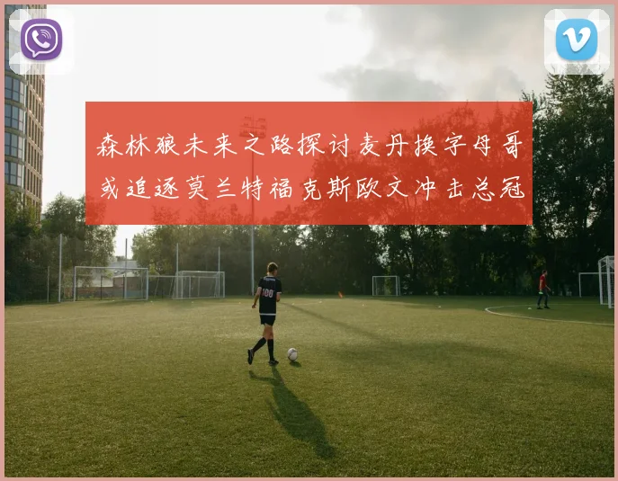 森林狼未来之路探讨麦丹换字母哥或追逐莫兰特福克斯欧文冲击总冠军