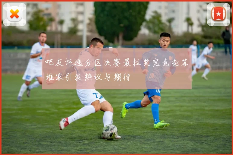吧友评选分区决赛最拉奖究竟花落谁家引发热议与期待